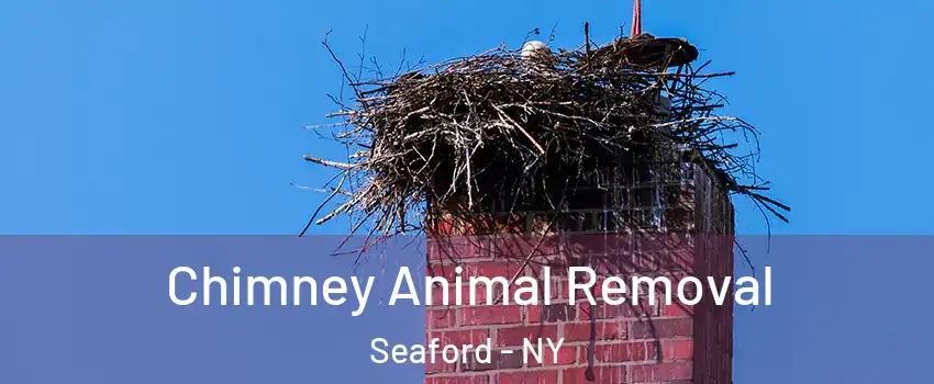  Chimney Animal Removal Seaford - NY