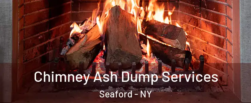  Chimney Ash Dump Services Seaford - NY