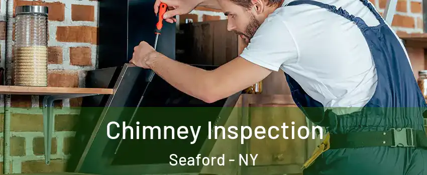  Chimney Inspection Seaford - NY