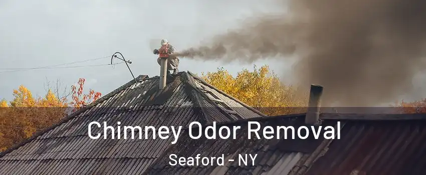  Chimney Odor Removal Seaford - NY