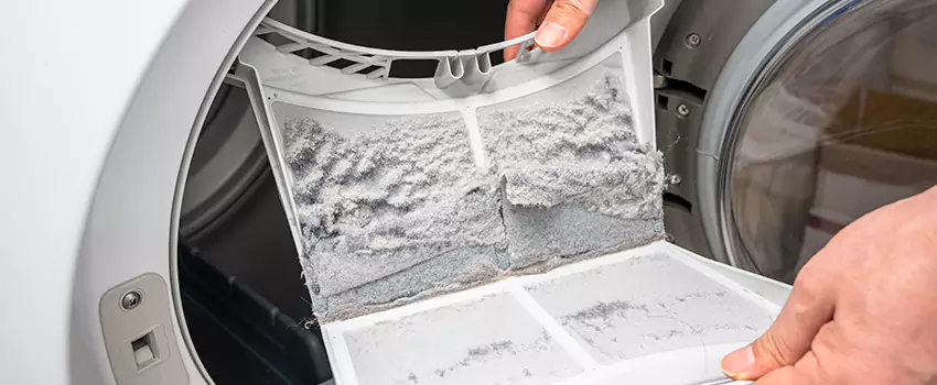 Best Dryer Lint Removal Company in Seaford, New York