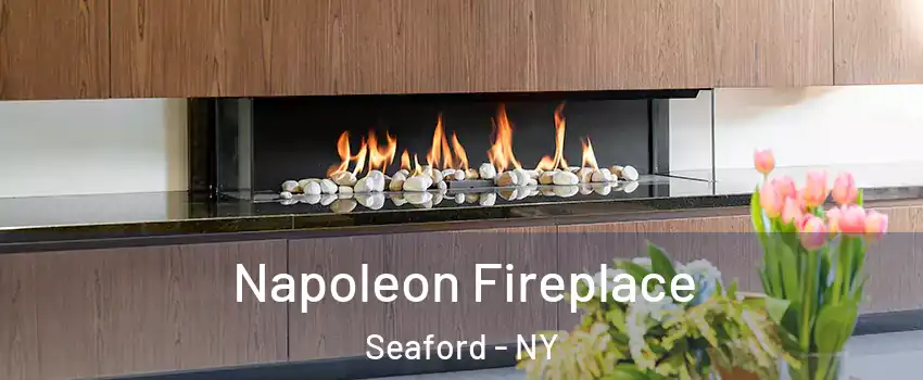  Napoleon Fireplace Seaford - NY